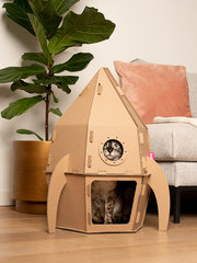 Rockat - Cathouse